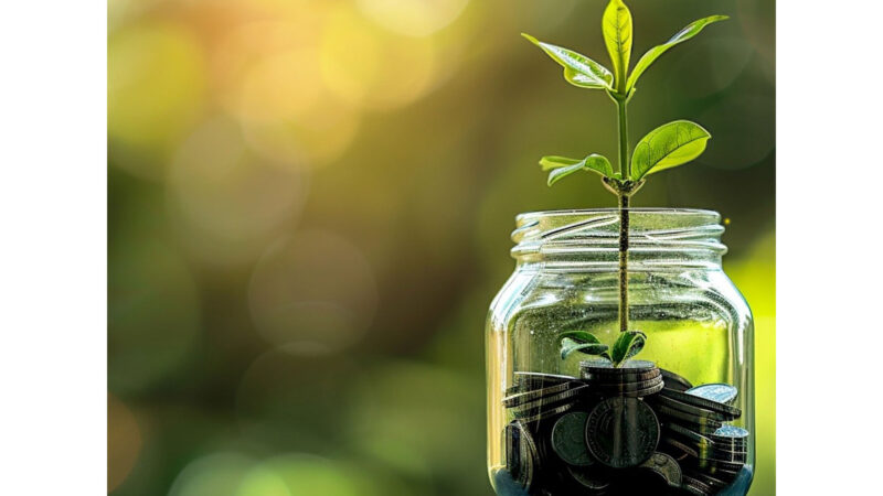 A glass jar filled with coins with a plant growing out if it. To symbolise that money can co-exist with sustainability and positive approaches to ethical growth.