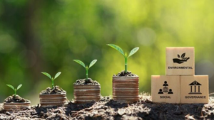 4 saplings on top of an increased amount of coins, with 3 building blocks of ESG beside them.